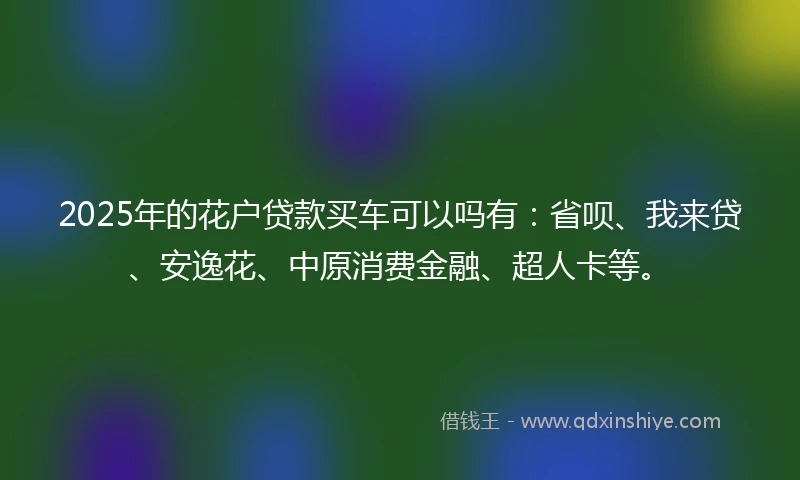 2025年的花户贷款买车可以吗有：省呗、我来贷、安逸花、中原消费金融、超人卡等。
