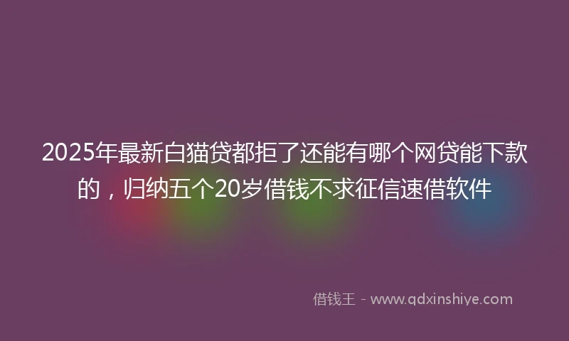 2025年最新白猫贷都拒了还能有哪个网贷能下款的，归纳五个20岁借钱不求征信速借软件