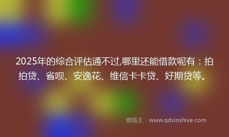2025年的综合评估通不过,哪里还能借款呢有：拍拍贷、省呗、安逸花、维信卡卡贷、好期贷等。