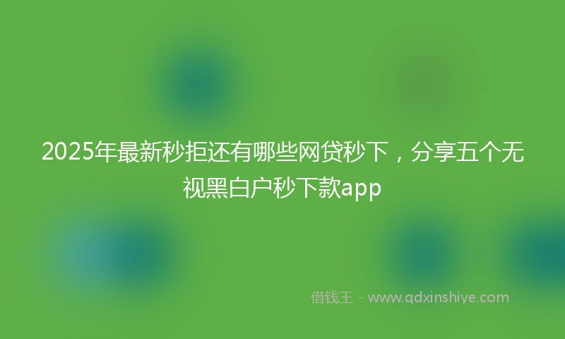 2025年最新秒拒还有哪些网贷秒下，分享五个无视黑白户秒下款app