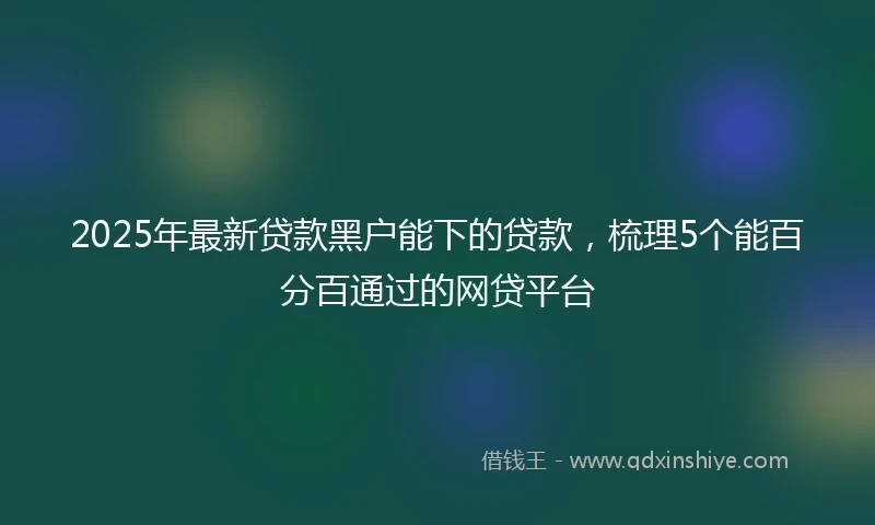 2025年最新贷款黑户能下的贷款，梳理5个能百分百通过的网贷平台