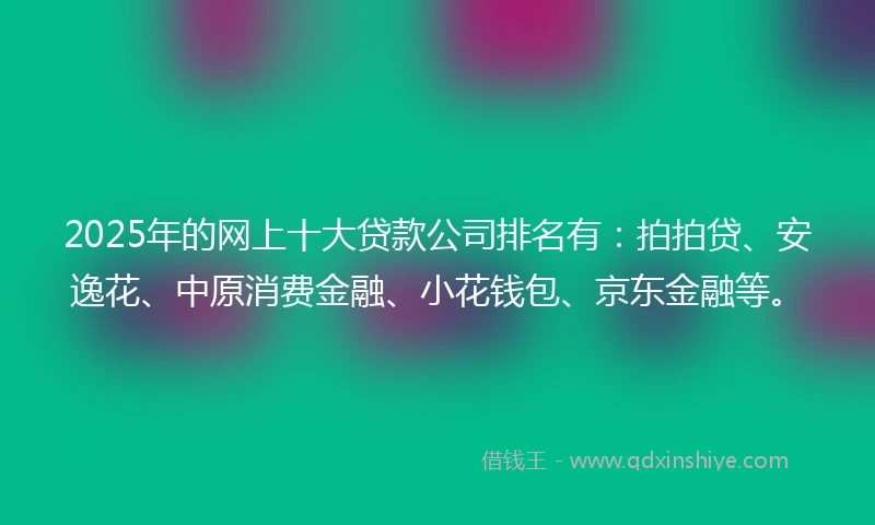 2025年的网上十大贷款公司排名有：拍拍贷、安逸花、中原消费金融、小花钱包、京东金融等。