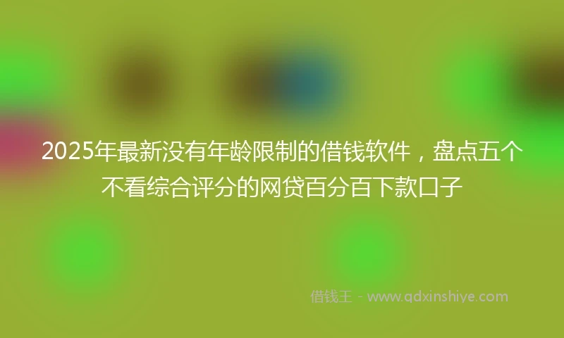 2025年最新没有年龄限制的借钱软件，盘点五个不看综合评分的网贷百分百下款口子