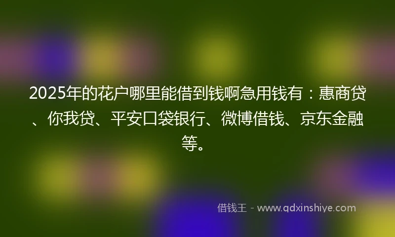 2025年的花户哪里能借到钱啊急用钱有：惠商贷、你我贷、平安口袋银行、微博借钱、京东金融等。