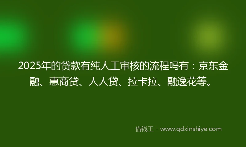 2025年的贷款有纯人工审核的流程吗有：京东金融、惠商贷、人人贷、拉卡拉、融逸花等。