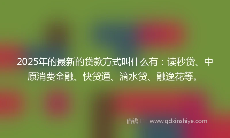 2025年的最新的贷款方式叫什么有：读秒贷、中原消费金融、快贷通、滴水贷、融逸花等。