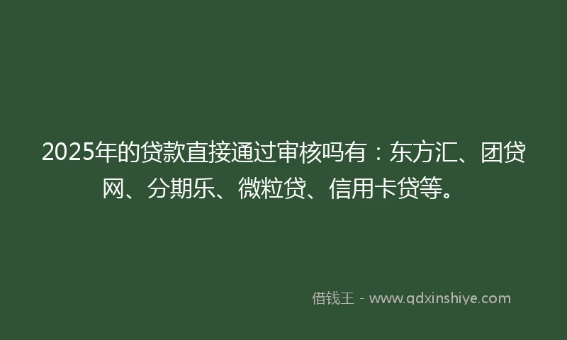 2025年的贷款直接通过审核吗有：东方汇、团贷网、分期乐、微粒贷、信用卡贷等。