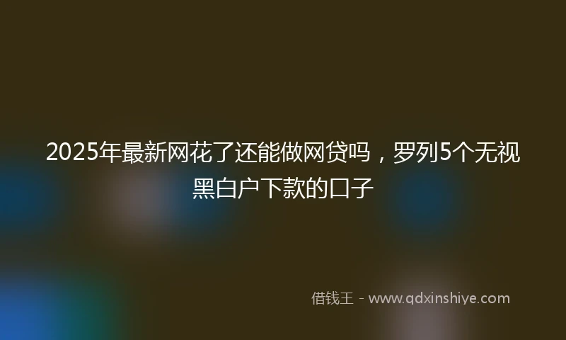 2025年最新网花了还能做网贷吗，罗列5个无视黑白户下款的口子