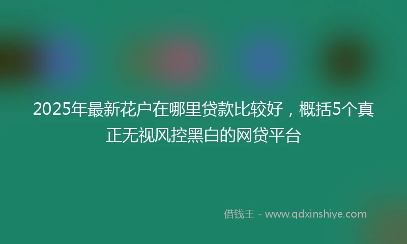 2025年最新花户在哪里贷款比较好，概括5个真正无视风控黑白的网贷平台