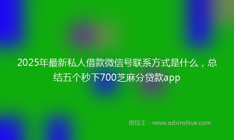 2025年最新私人借款微信号联系方式是什么，总结五个秒下700芝麻分贷款app
