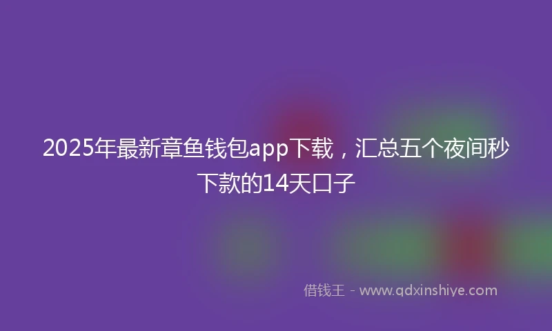 2025年最新章鱼钱包app下载，汇总五个夜间秒下款的14天口子