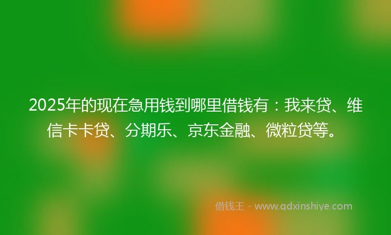 2025年的现在急用钱到哪里借钱有：我来贷、维信卡卡贷、分期乐、京东金融、微粒贷等。