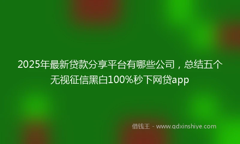 2025年最新贷款分享平台有哪些公司，总结五个无视征信黑白100%秒下网贷app