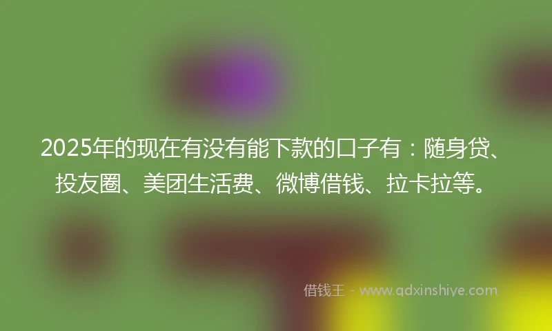 2025年的现在有没有能下款的口子有：随身贷、投友圈、美团生活费、微博借钱、拉卡拉等。