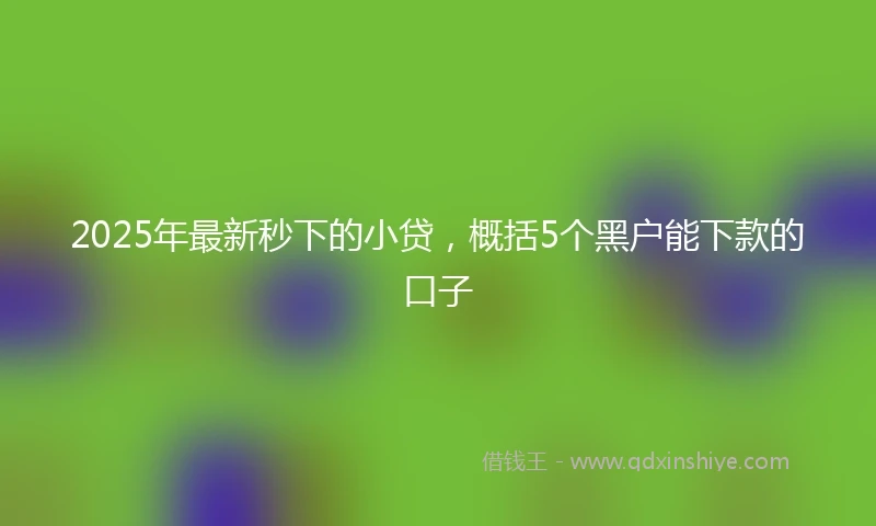 2025年最新秒下的小贷，概括5个黑户能下款的口子