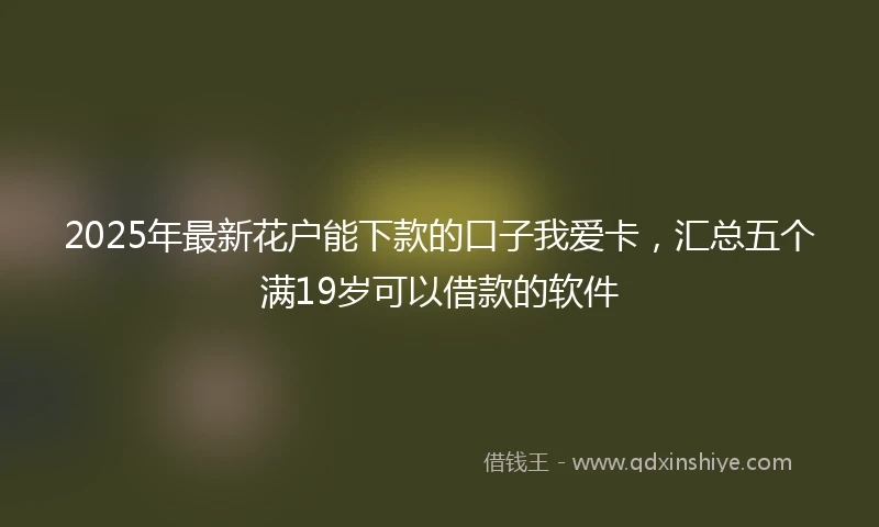 2025年最新花户能下款的口子我爱卡，汇总五个满19岁可以借款的软件