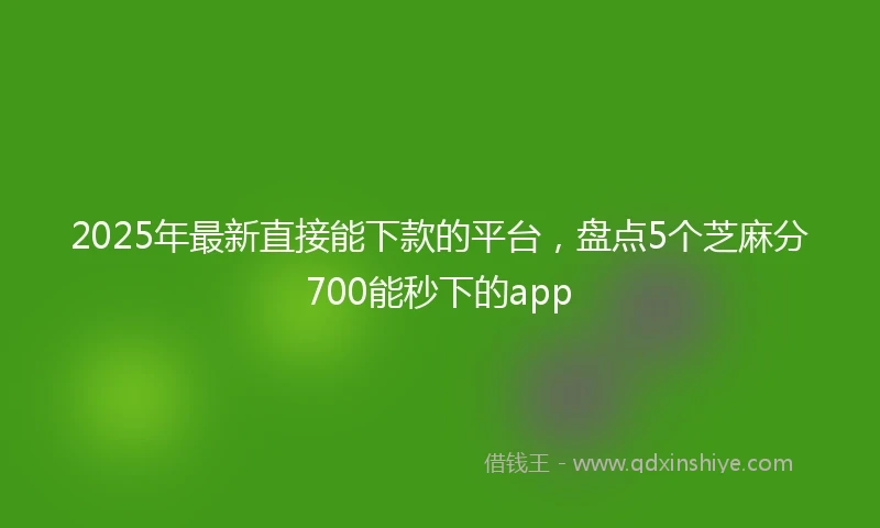 2025年最新直接能下款的平台，盘点5个芝麻分700能秒下的app