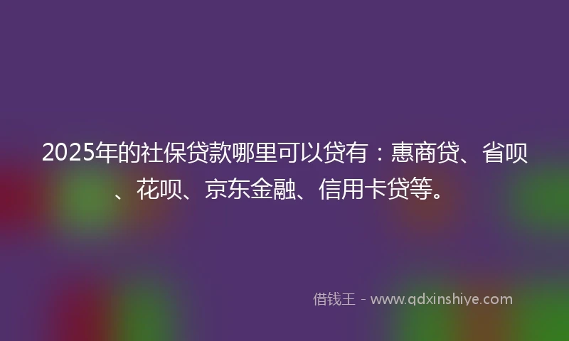 2025年的社保贷款哪里可以贷有：惠商贷、省呗、花呗、京东金融、信用卡贷等。