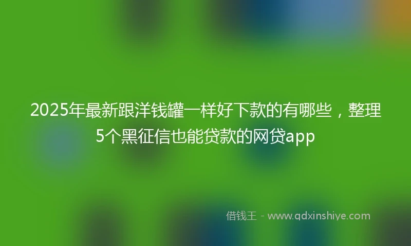 2025年最新跟洋钱罐一样好下款的有哪些，整理5个黑征信也能贷款的网贷app