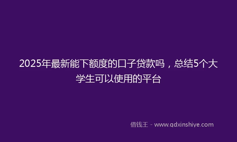 2025年最新能下额度的口子贷款吗，总结5个大学生可以使用的平台