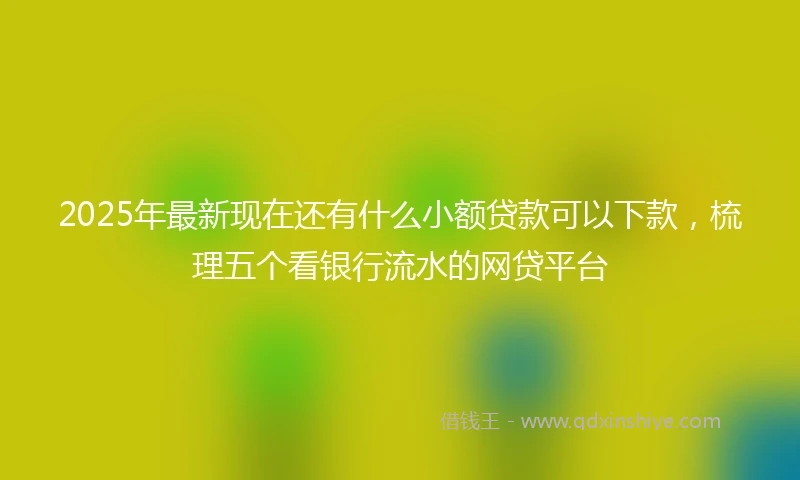2025年最新现在还有什么小额贷款可以下款，梳理五个看银行流水的网贷平台