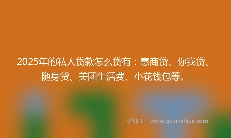 2025年的私人贷款怎么贷有：惠商贷、你我贷、随身贷、美团生活费、小花钱包等。