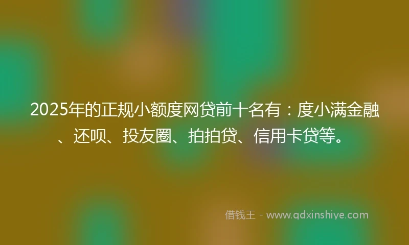 2025年的正规小额度网贷前十名有：度小满金融、还呗、投友圈、拍拍贷、信用卡贷等。