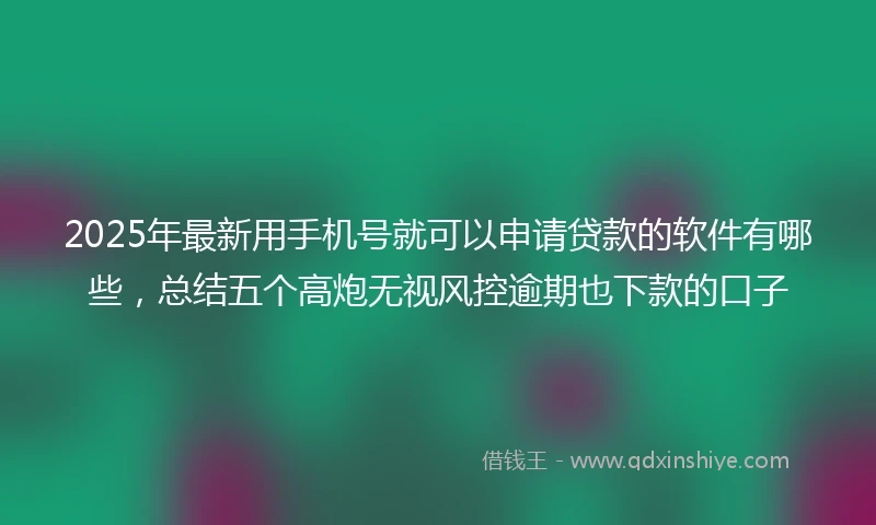 2025年最新用手机号就可以申请贷款的软件有哪些，总结五个高炮无视风控逾期也下款的口子