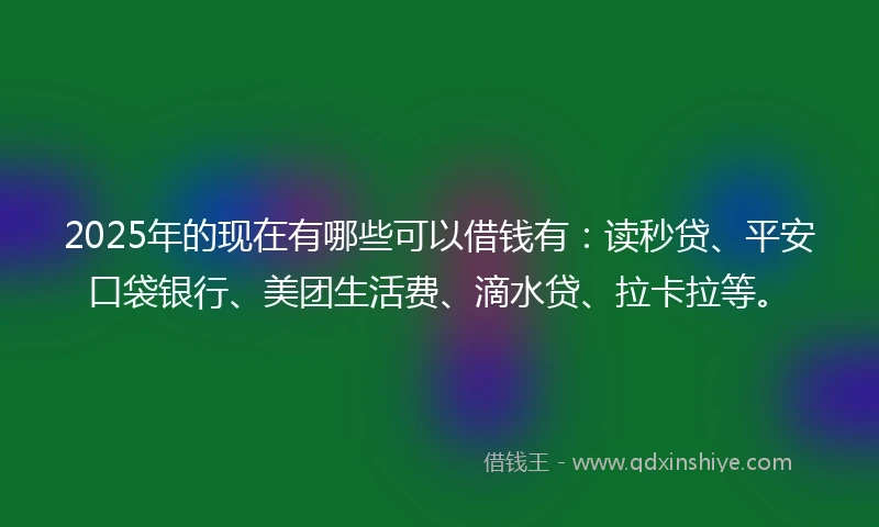 2025年的现在有哪些可以借钱有：读秒贷、平安口袋银行、美团生活费、滴水贷、拉卡拉等。