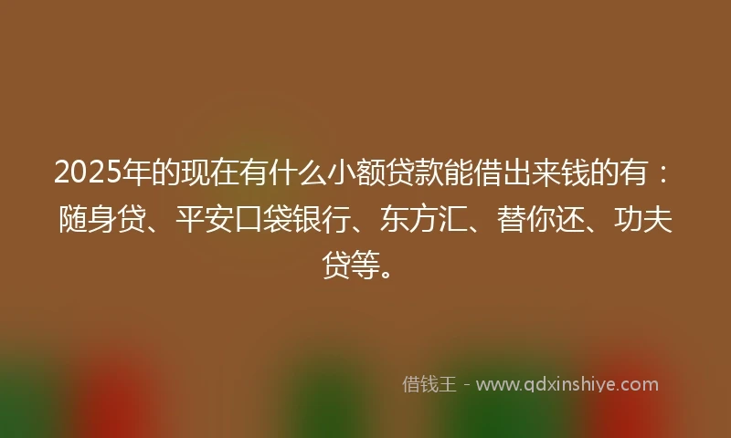 2025年的现在有什么小额贷款能借出来钱的有：随身贷、平安口袋银行、东方汇、替你还、功夫贷等。