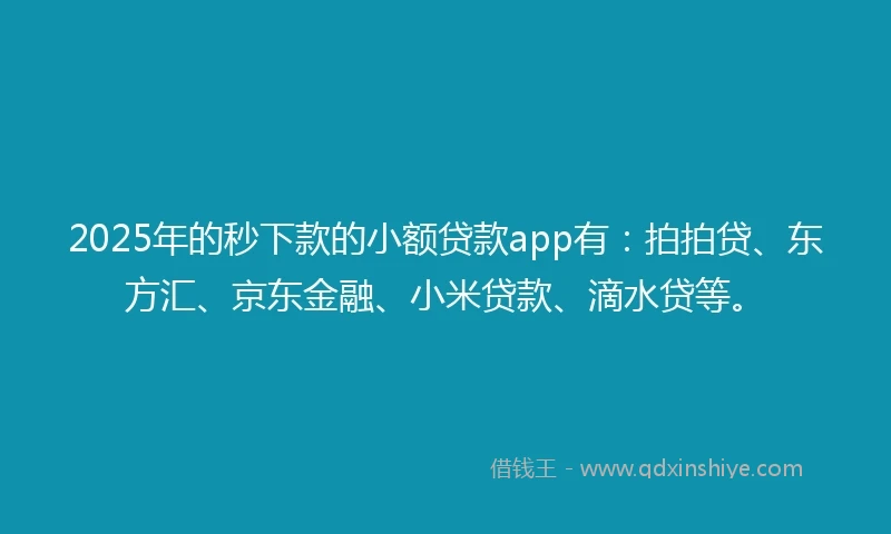 2025年的秒下款的小额贷款app有：拍拍贷、东方汇、京东金融、小米贷款、滴水贷等。