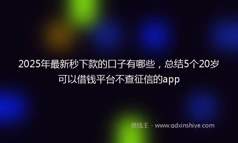 2025年最新秒下款的口子有哪些，总结5个20岁可以借钱平台不查征信的app