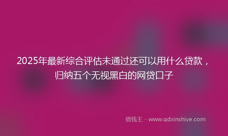 2025年最新综合评估未通过还可以用什么贷款，归纳五个无视黑白的网贷口子