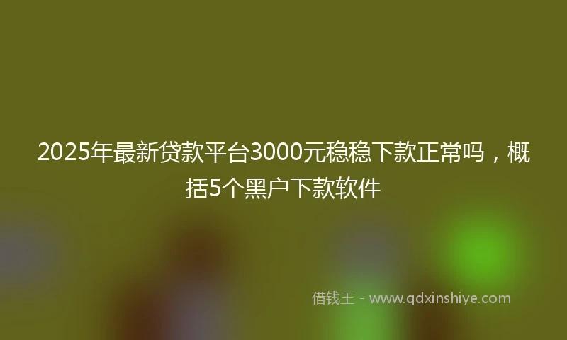 2025年最新贷款平台3000元稳稳下款正常吗，概括5个黑户下款软件