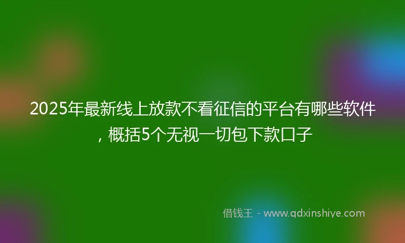 2025年最新线上放款不看征信的平台有哪些软件，概括5个无视一切包下款口子