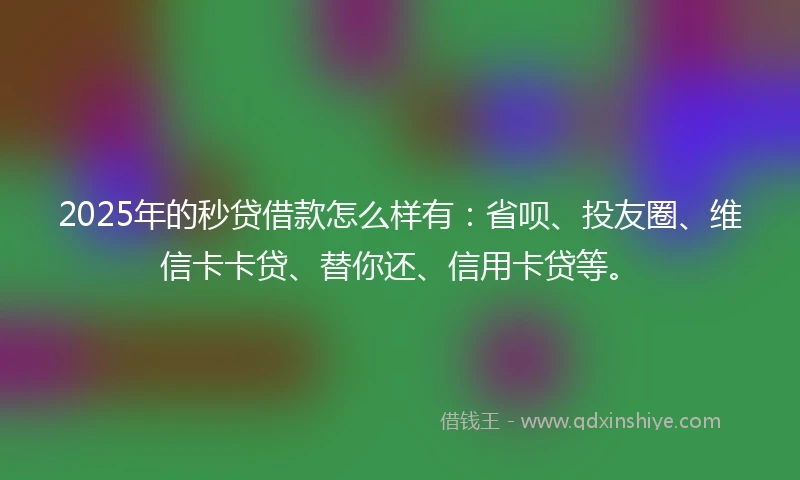 2025年的秒贷借款怎么样有：省呗、投友圈、维信卡卡贷、替你还、信用卡贷等。