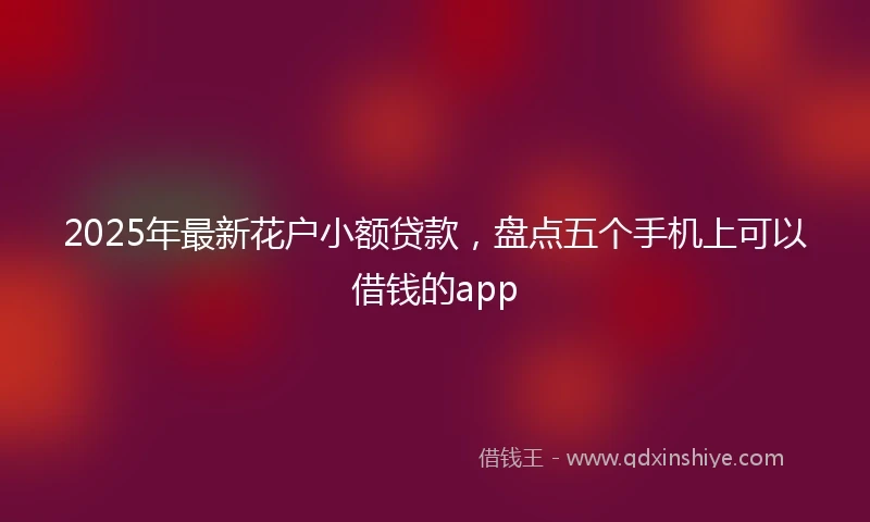 2025年最新花户小额贷款，盘点五个手机上可以借钱的app