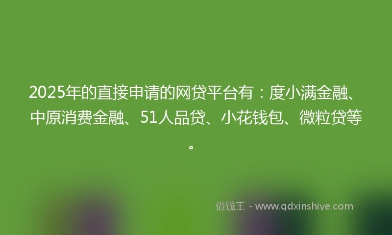 2025年的直接申请的网贷平台有：度小满金融、中原消费金融、51人品贷、小花钱包、微粒贷等。