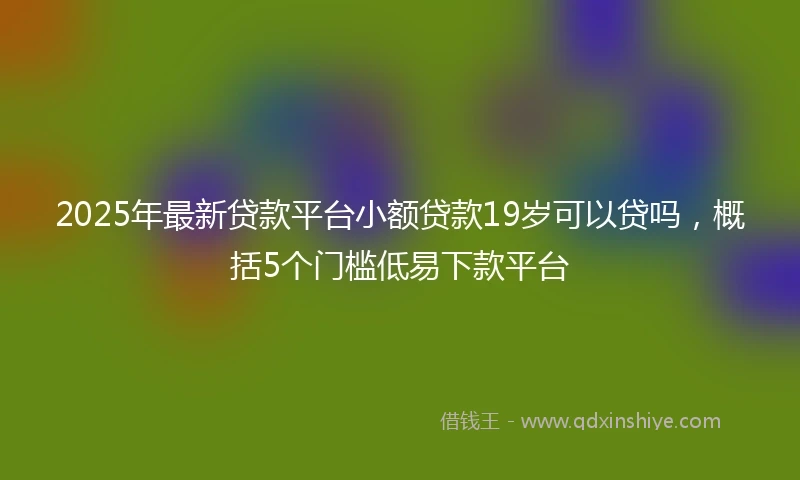 2025年最新贷款平台小额贷款19岁可以贷吗，概括5个门槛低易下款平台