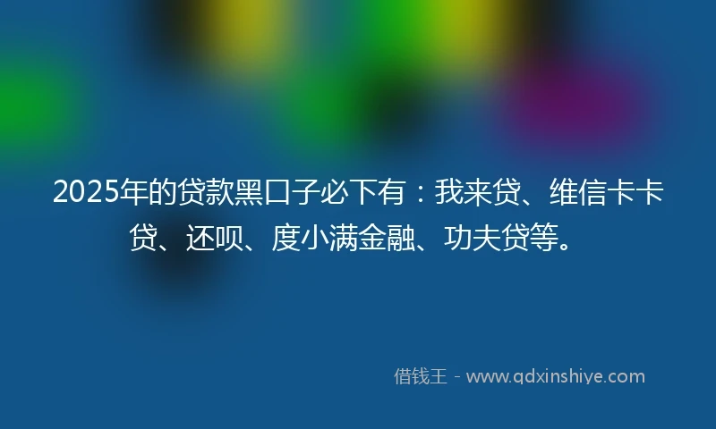 2025年的贷款黑口子必下有：我来贷、维信卡卡贷、还呗、度小满金融、功夫贷等。