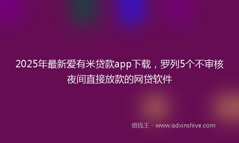 2025年最新爱有米贷款app下载，罗列5个不审核夜间直接放款的网贷软件