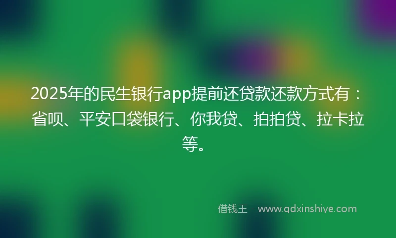 2025年的民生银行app提前还贷款还款方式有：省呗、平安口袋银行、你我贷、拍拍贷、拉卡拉等。