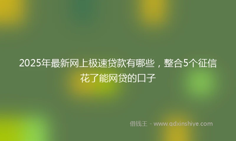 2025年最新网上极速贷款有哪些，整合5个征信花了能网贷的口子