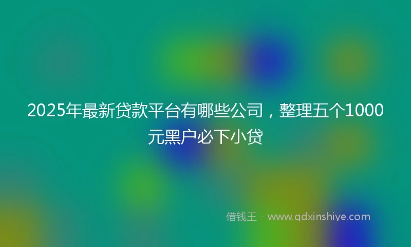 2025年最新贷款平台有哪些公司，整理五个1000元黑户必下小贷