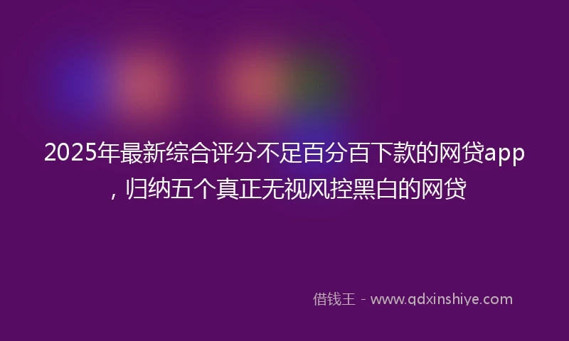 2025年最新综合评分不足百分百下款的网贷app，归纳五个真正无视风控黑白的网贷