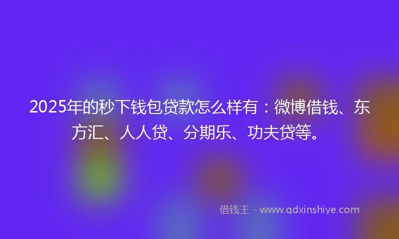 2025年的秒下钱包贷款怎么样有：微博借钱、东方汇、人人贷、分期乐、功夫贷等。