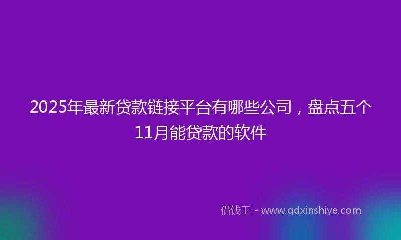 2025年最新贷款链接平台有哪些公司，盘点五个11月能贷款的软件