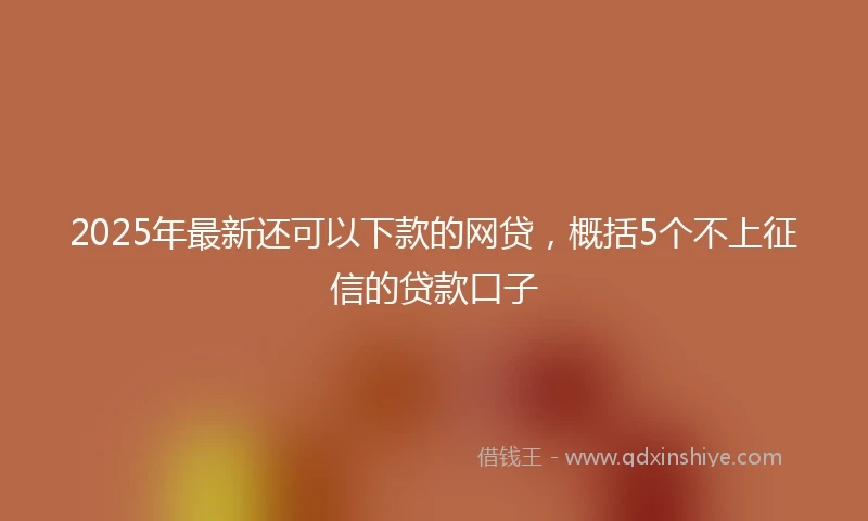 2025年最新还可以下款的网贷，概括5个不上征信的贷款口子