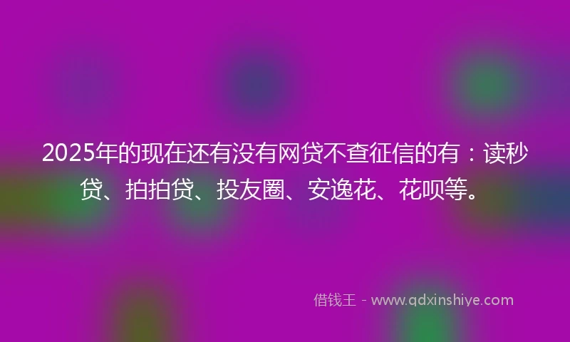 2025年的现在还有没有网贷不查征信的有：读秒贷、拍拍贷、投友圈、安逸花、花呗等。