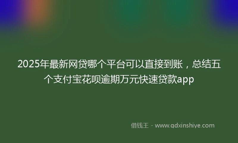 2025年最新网贷哪个平台可以直接到账，总结五个支付宝花呗逾期万元快速贷款app